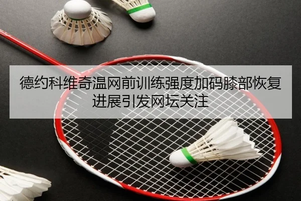 德约科维奇温网前训练强度加码膝部恢复进展引发网坛关注